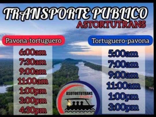 Casa Turtle Bogue Hotel Тортугеро Екстериор снимка