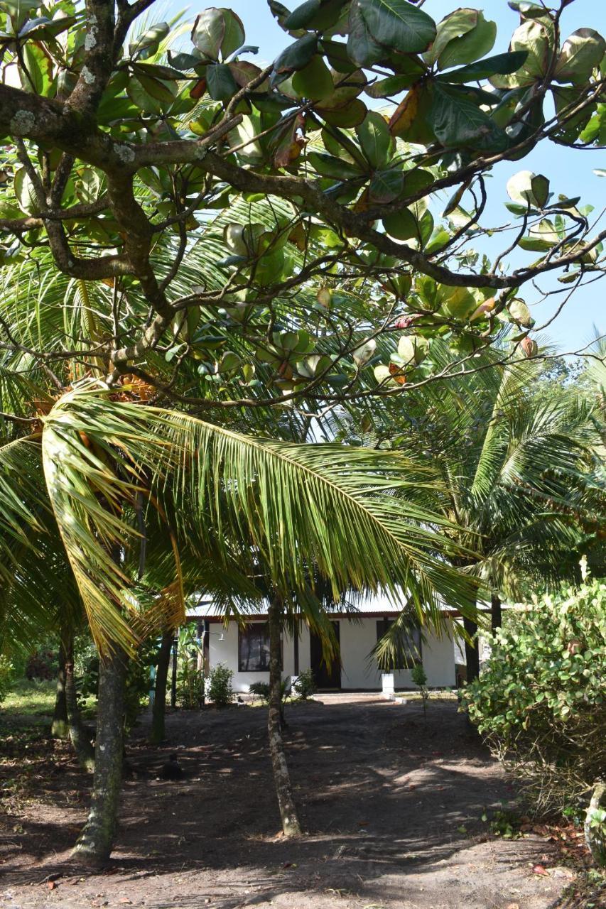 Casa Turtle Bogue Hotel Тортугеро Екстериор снимка