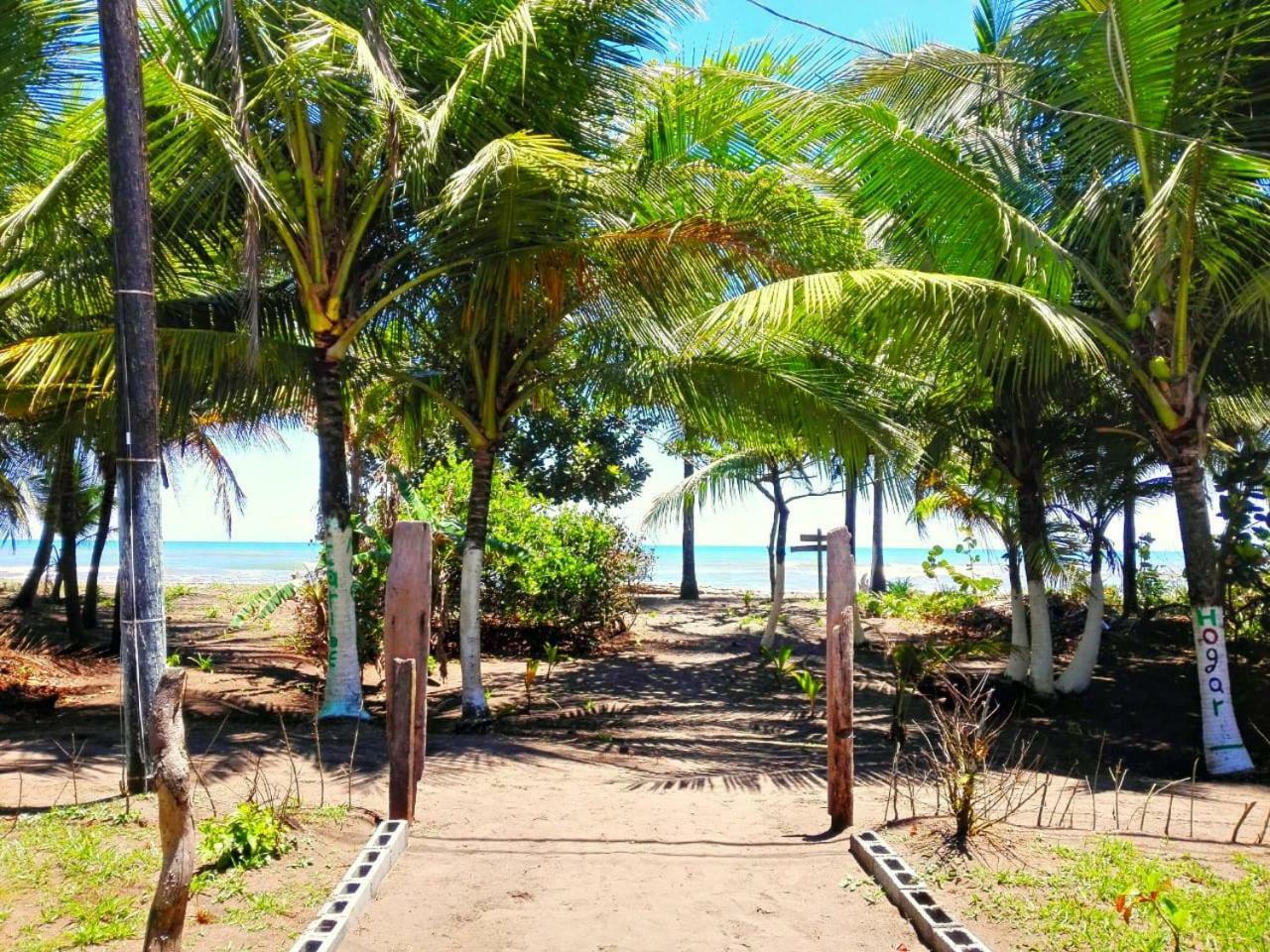 Casa Turtle Bogue Hotel Тортугеро Екстериор снимка